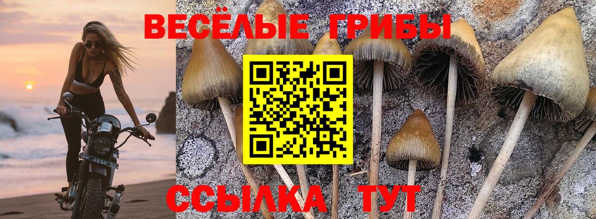 Галлюциногенные грибы мухоморы Миасс