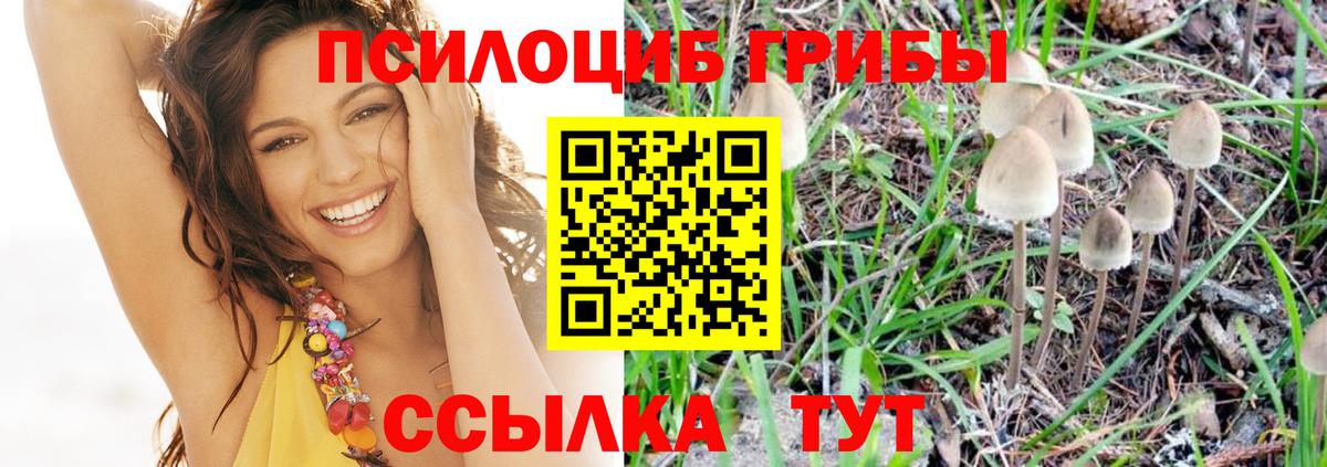 Галлюциногенные грибы GOLDEN TEACHER  Вход с VPN  Миасс 
